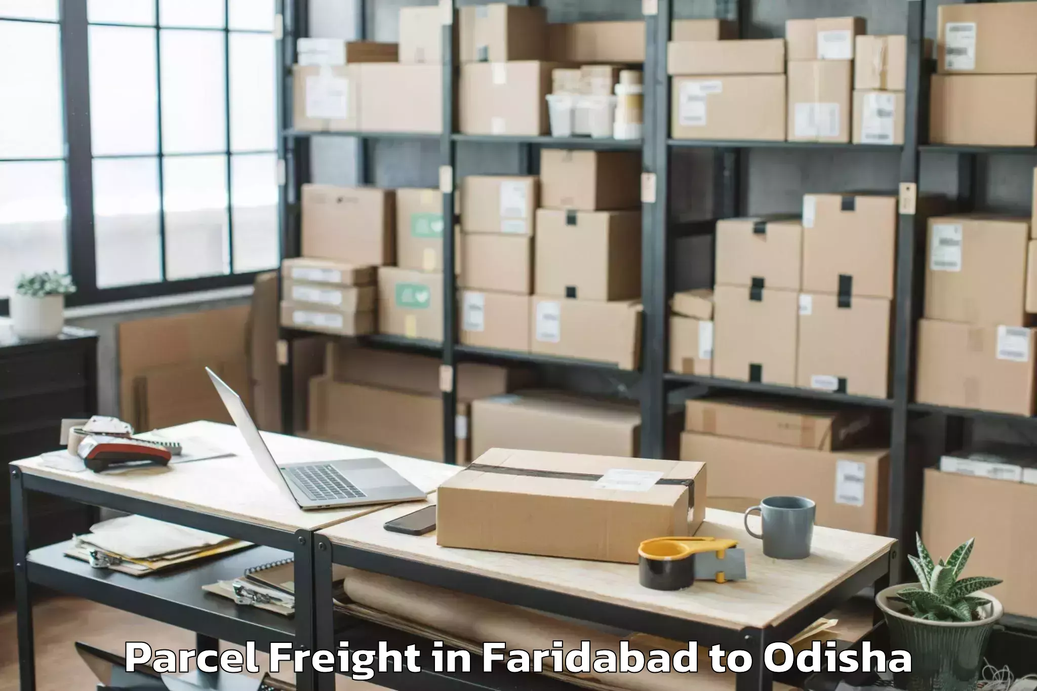 Quality Faridabad to Khamar Parcel Freight